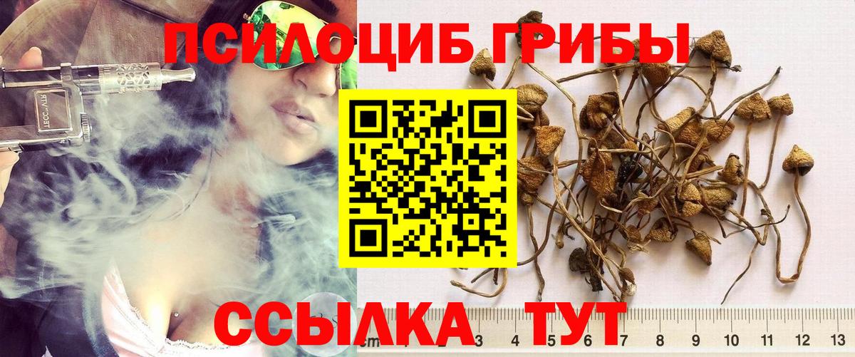 Полысаево  Псилоцибиновые грибы Cubensis  Псилоцибиновые грибы GOLDEN TEACHER  Вход с VPN 